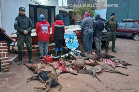 Hambre y delito: secuestran embarcación y animales silvestres faenados en clandestinidad